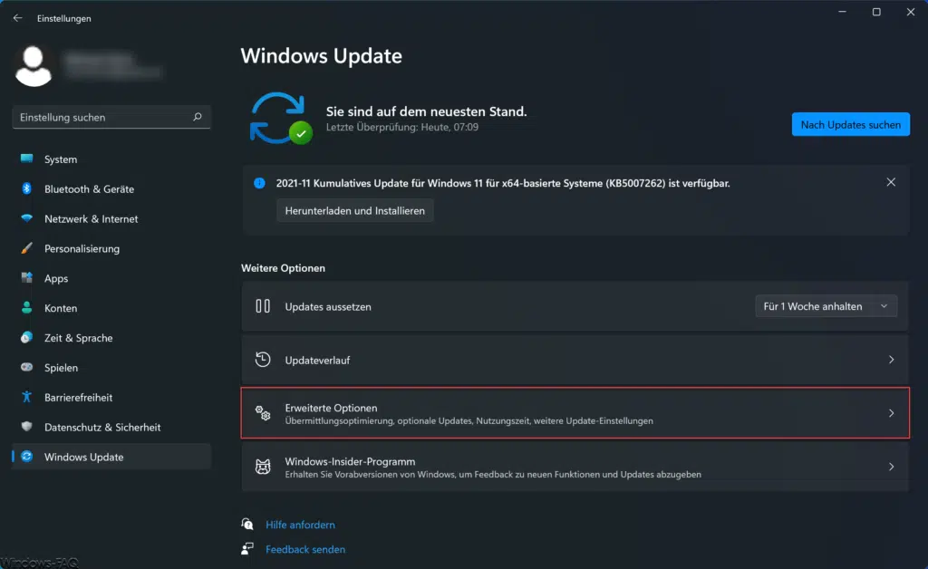 Windows 11 erweiterte Update Optionen