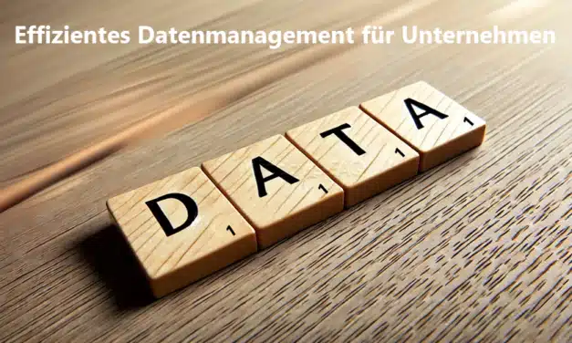 Effizientes Datenmanagement für Unternehmen mit Windows-Integration