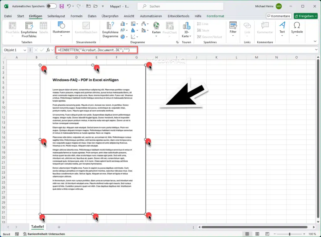 PDF in Excel eingefügt